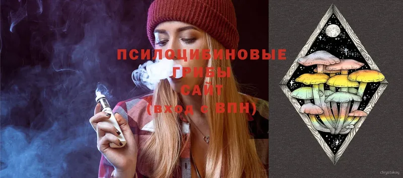 ссылка на мегу ТОР  Тарко-Сале  Галлюциногенные грибы Psilocybine cubensis  где продают наркотики 